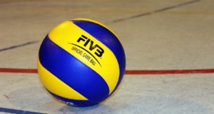 Volleynews volleybal 14 bal